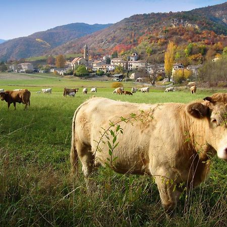 Gite La Taniere Des Alpes Bayons Εξωτερικό φωτογραφία