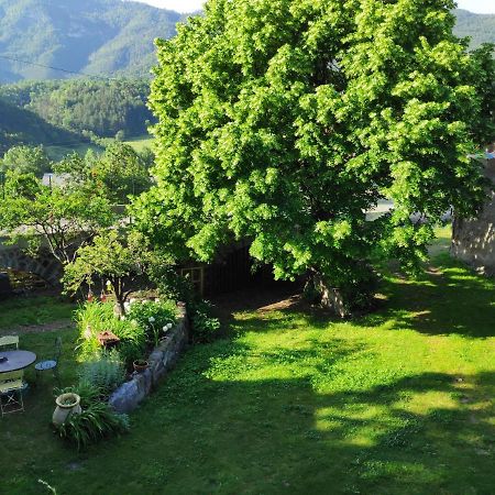 Gite La Taniere Des Alpes Bayons Εξωτερικό φωτογραφία