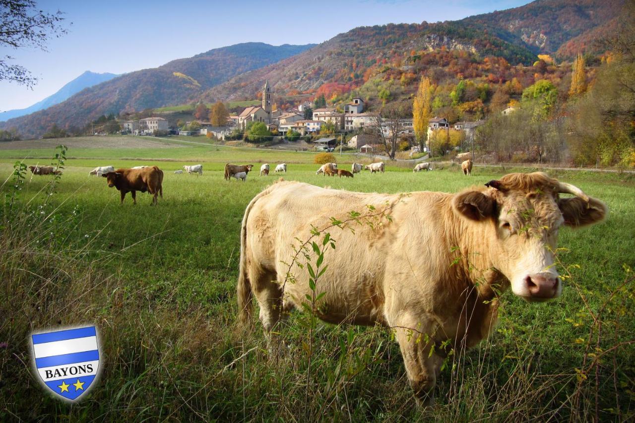 Gite La Taniere Des Alpes Bayons Εξωτερικό φωτογραφία